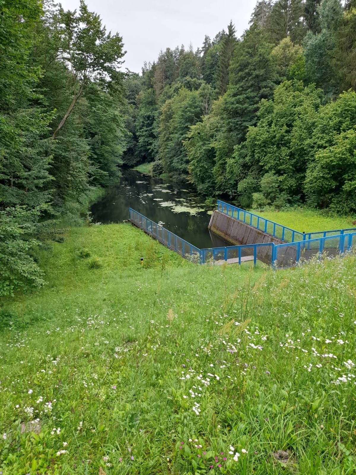 Zdjęcie 6