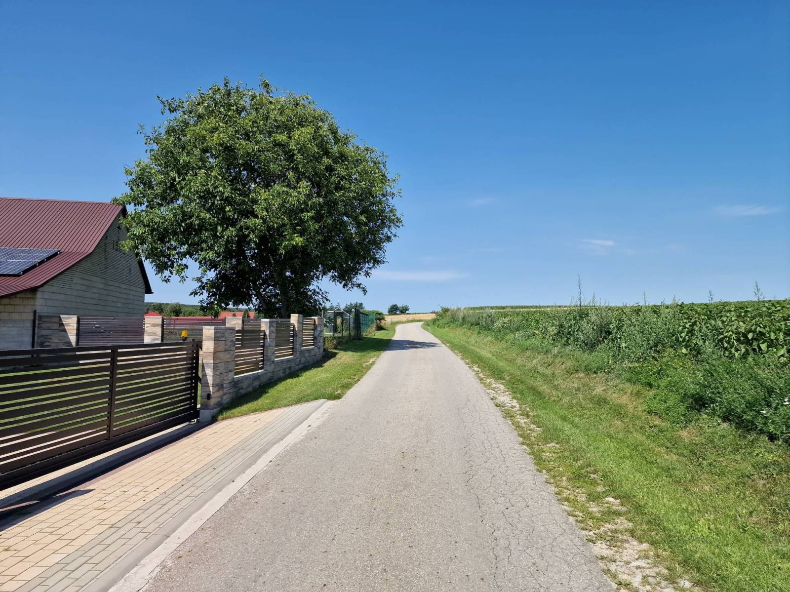Zdjęcie 6