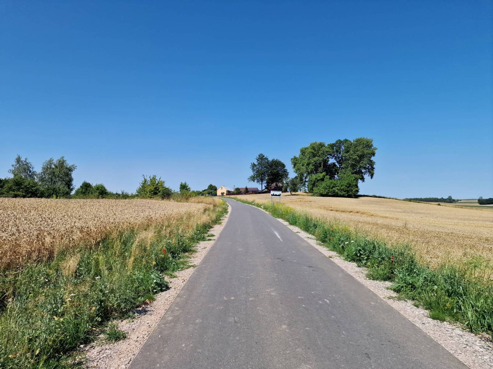 Zdjęcie 1
