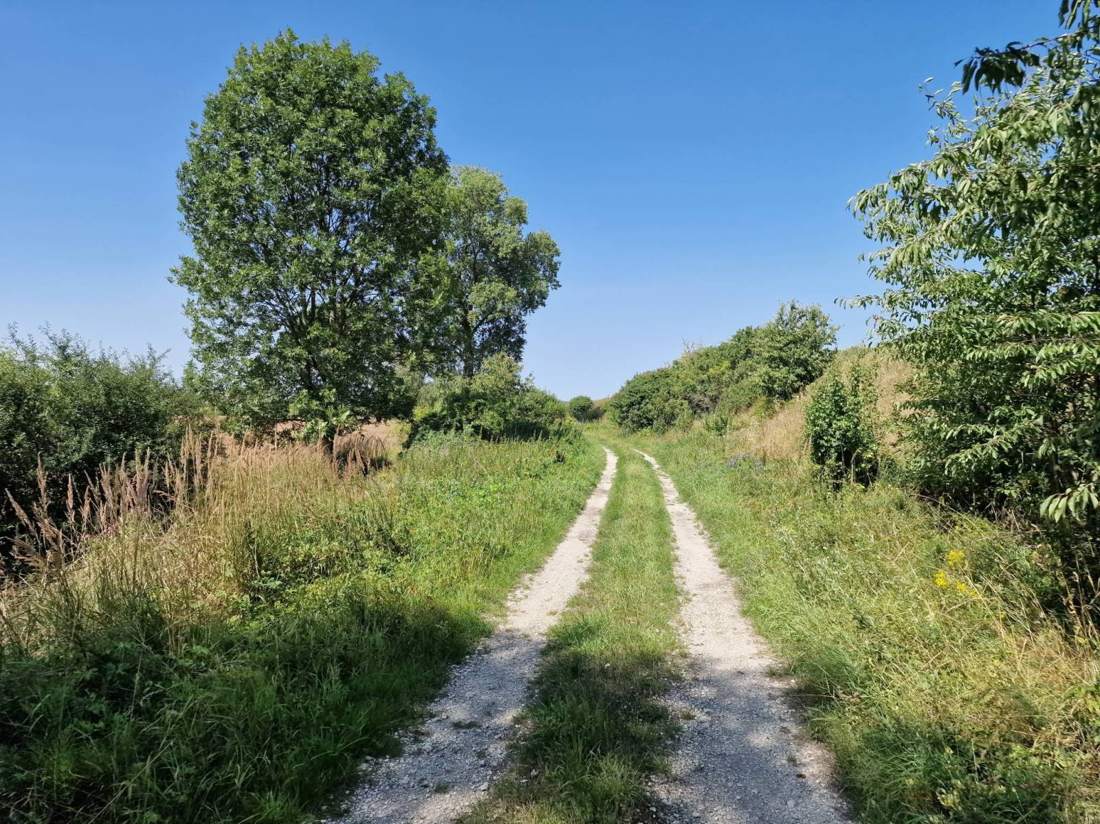 Zdjęcie 4