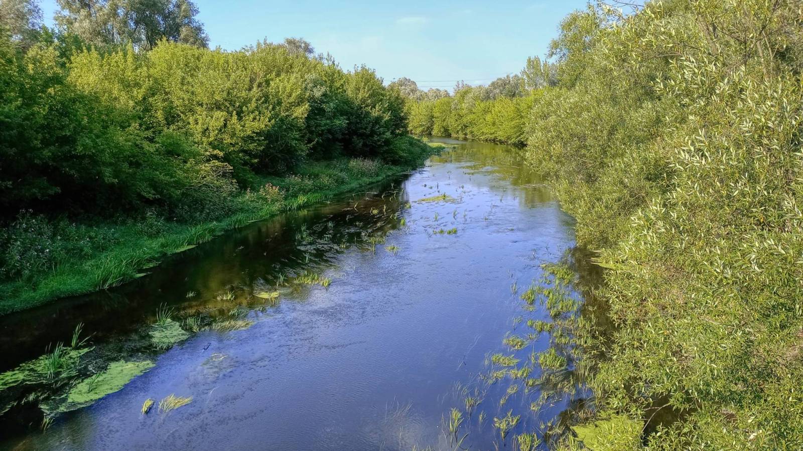 Zdjęcie 2