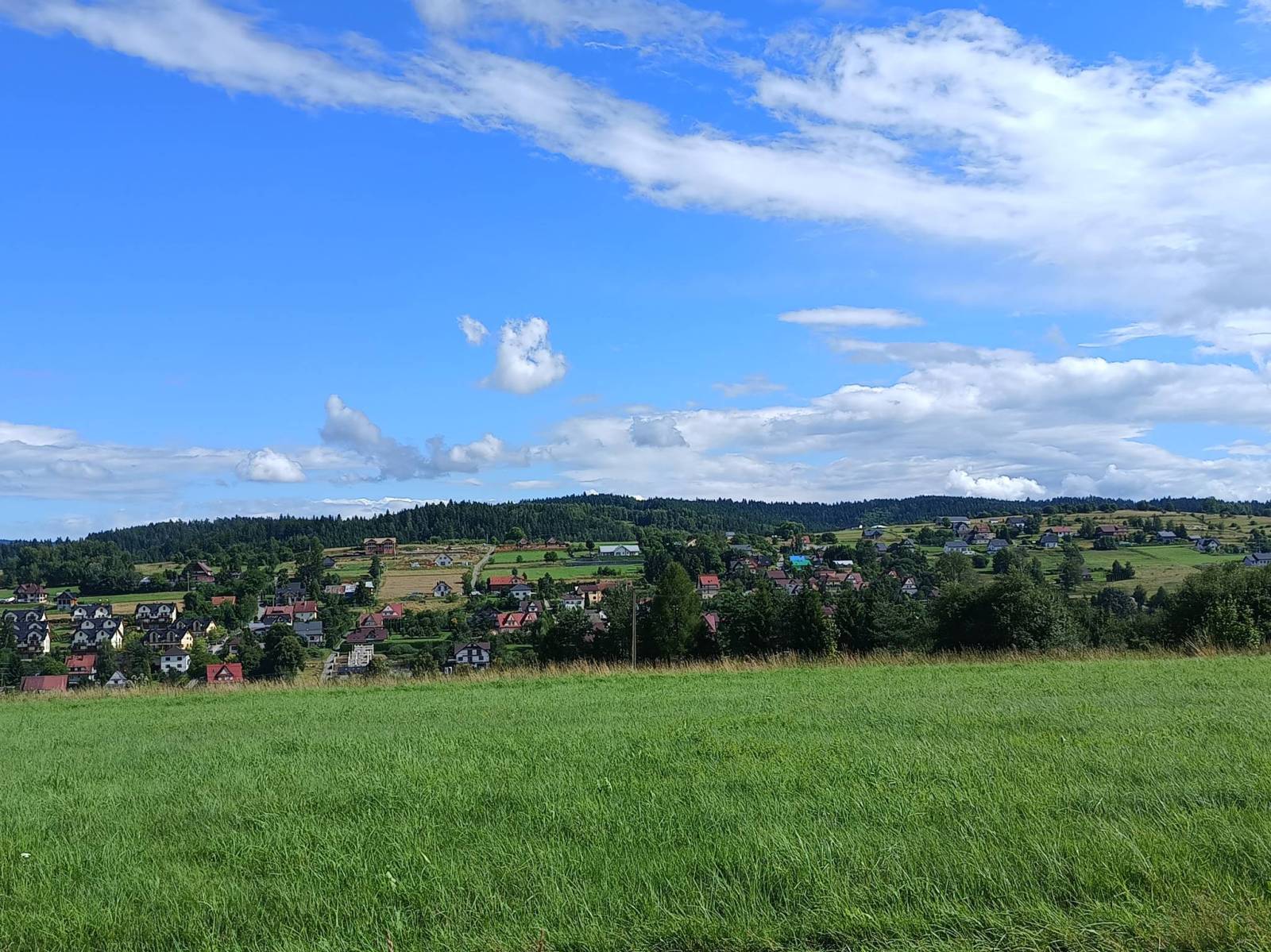 Zdjęcie 2