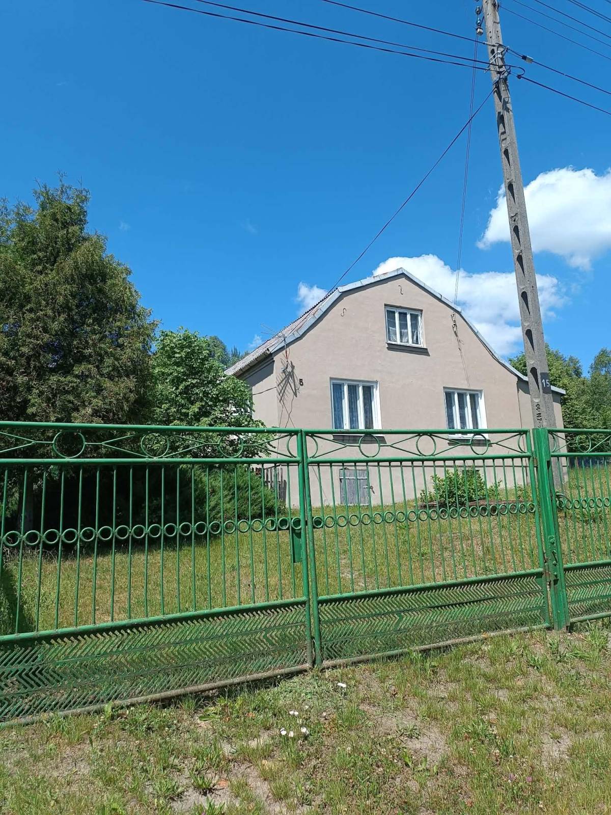 Zdjęcie 6