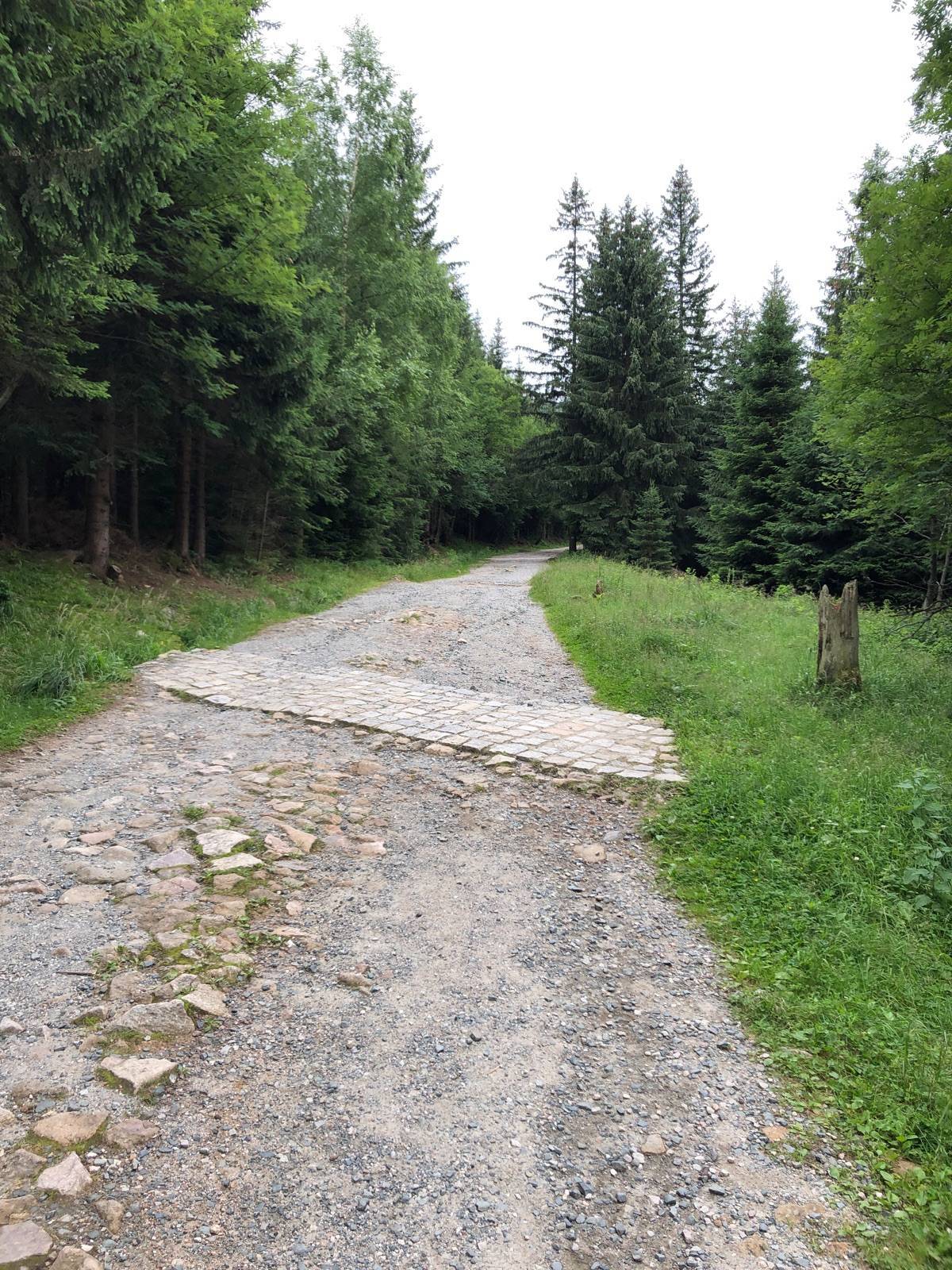 Zdjęcie 6