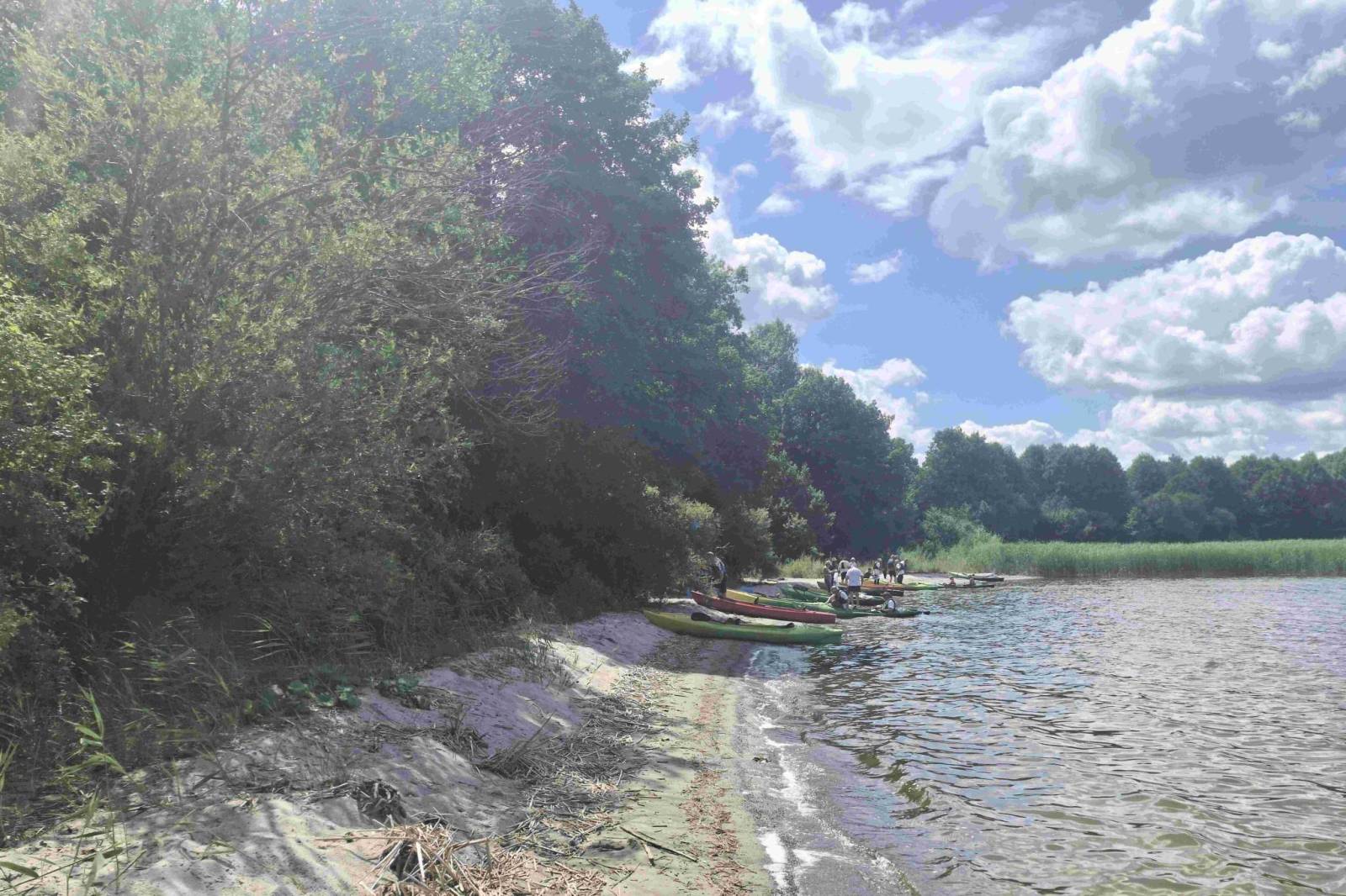 Zdjęcie 6