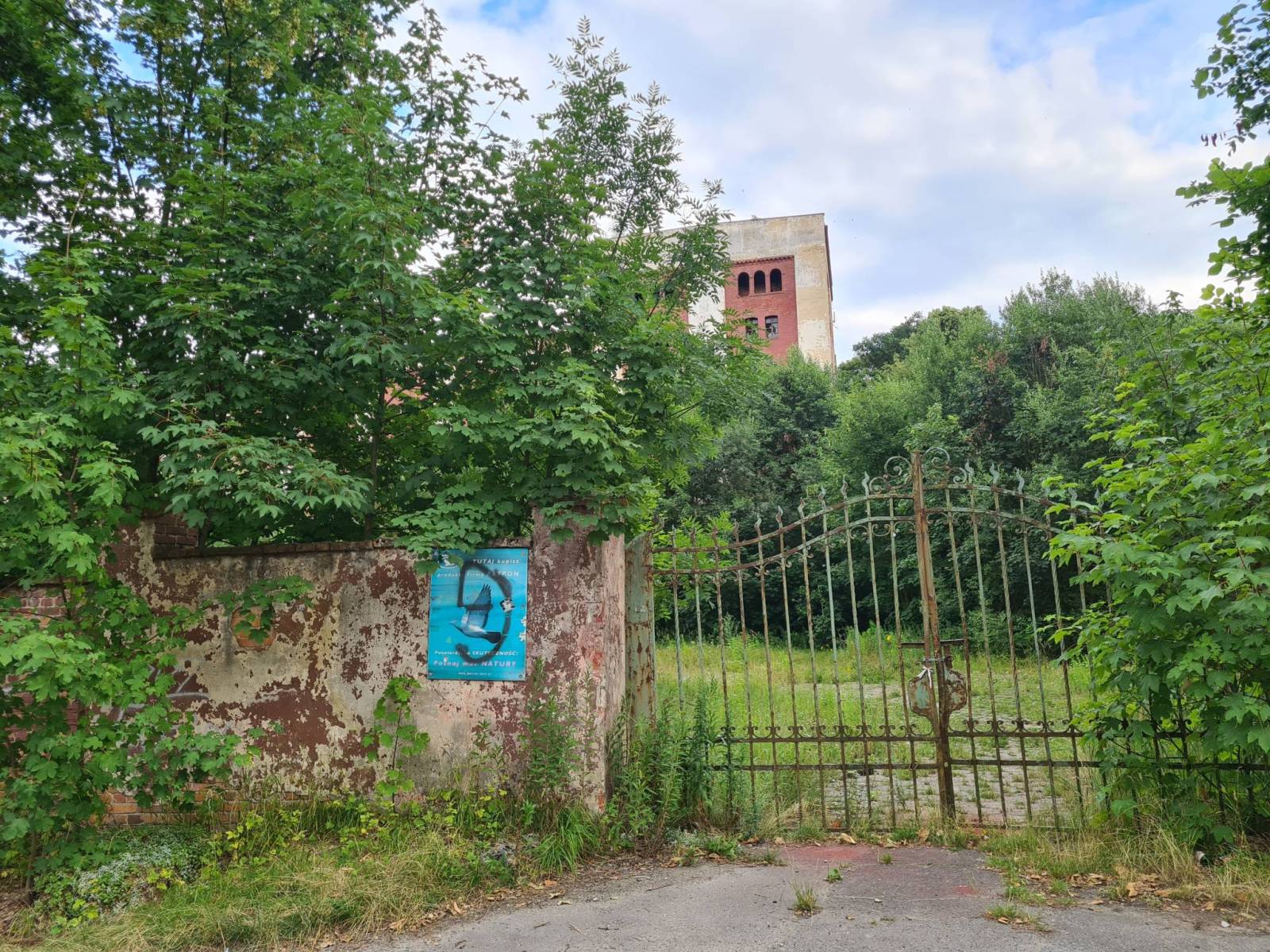 Zdjęcie 6