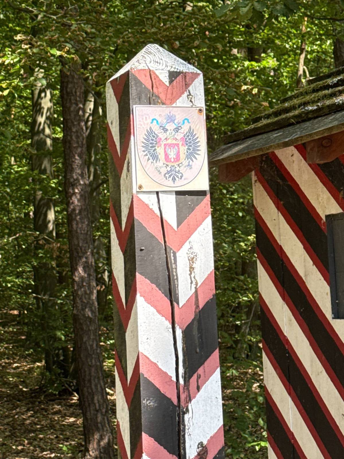 Zdjęcie 5