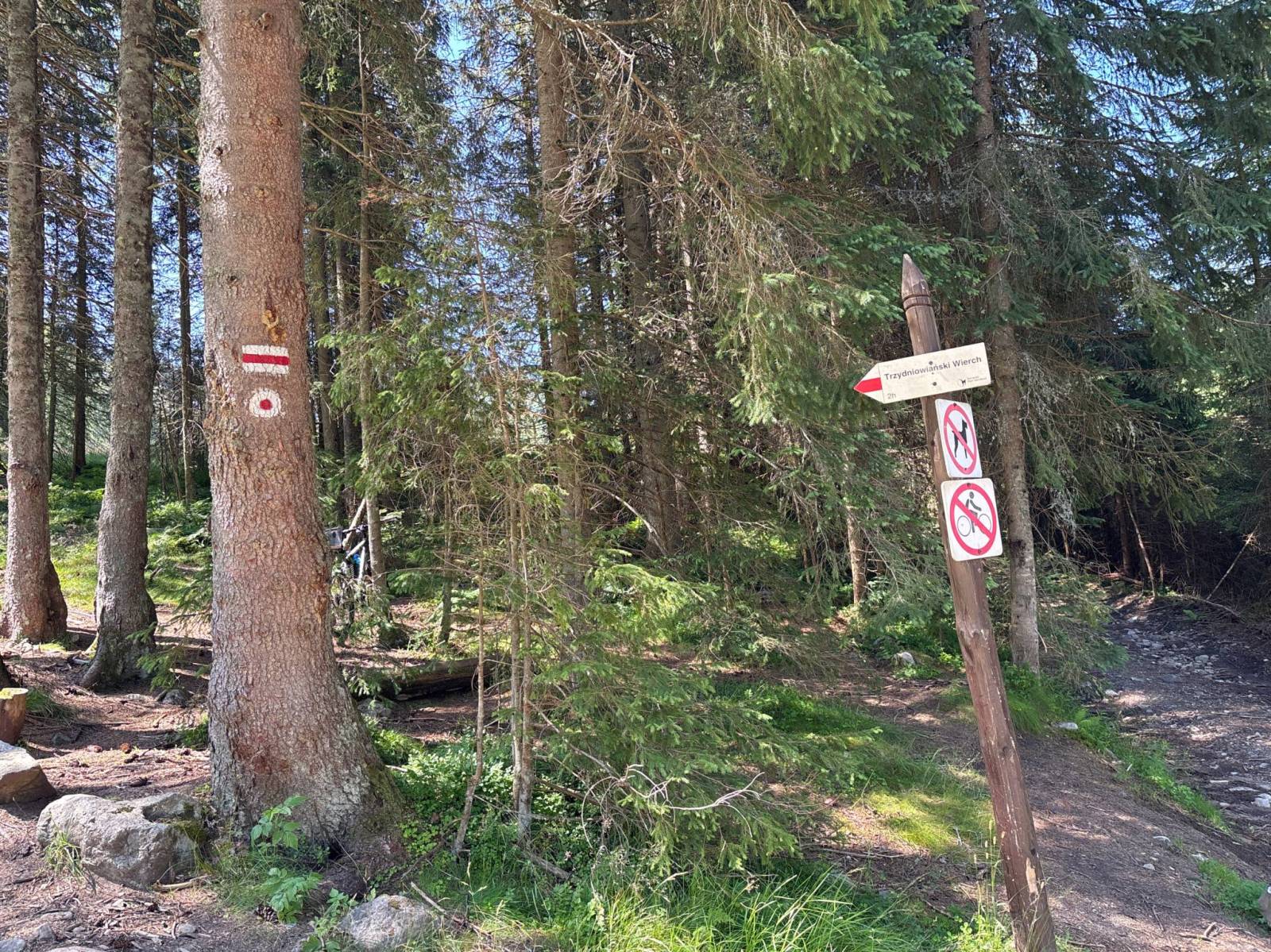 Zdjęcie 6