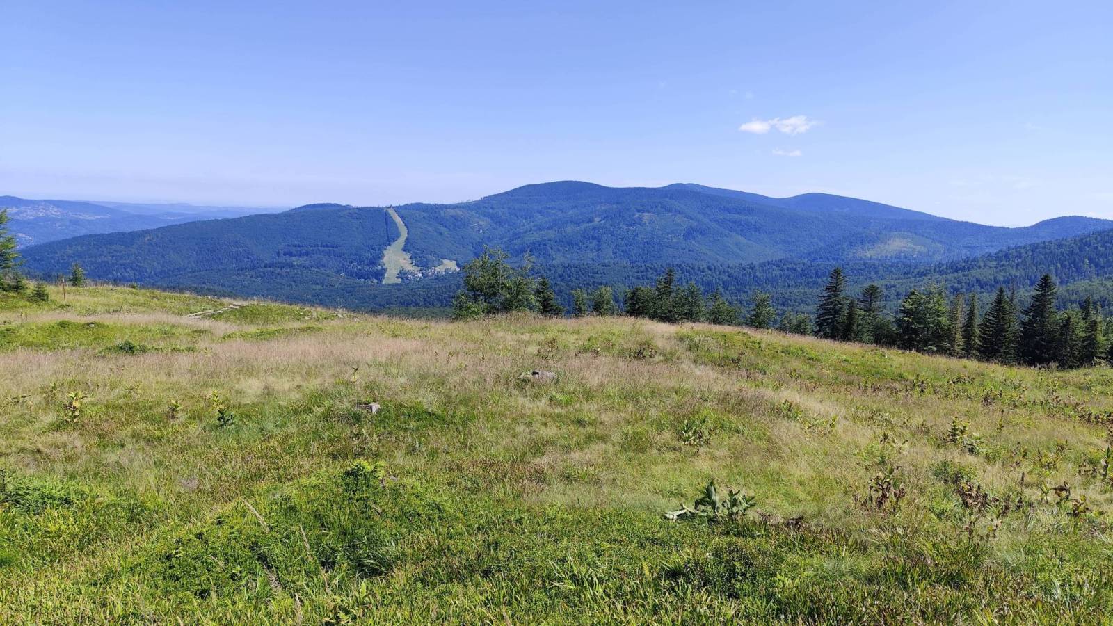Zdjęcie 5