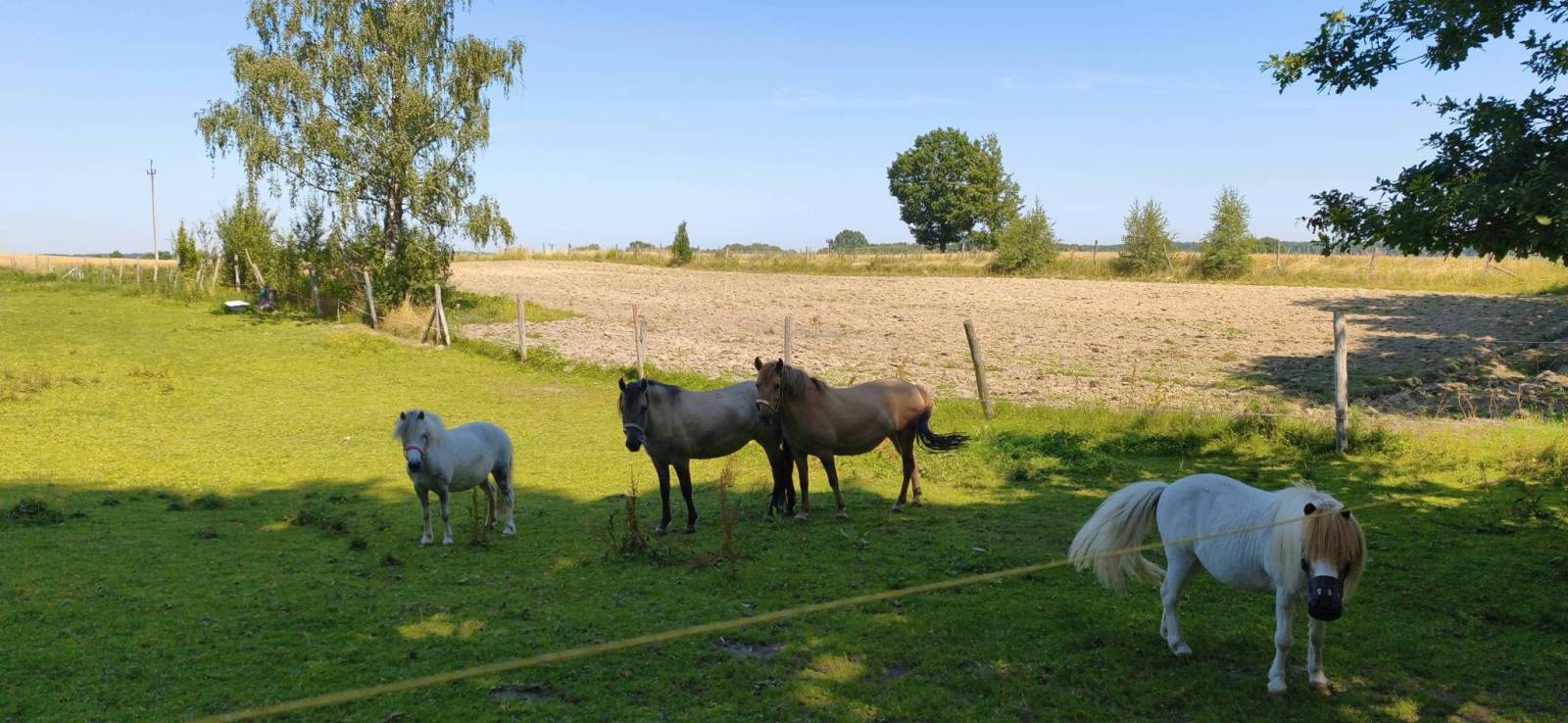 Zdjęcie 5