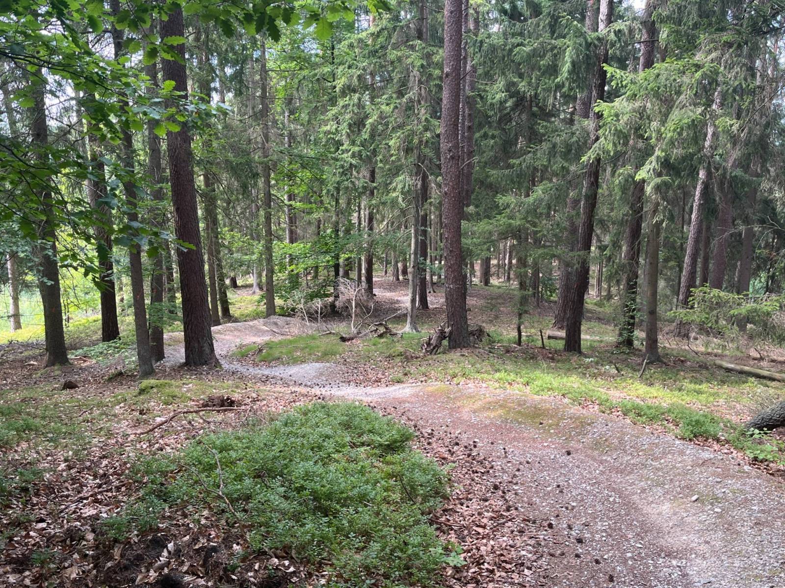 Zdjęcie 6