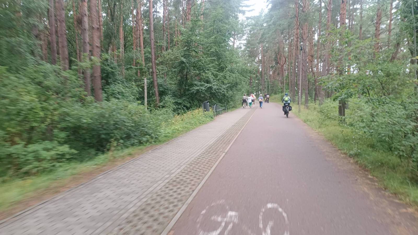 Zdjęcie 5