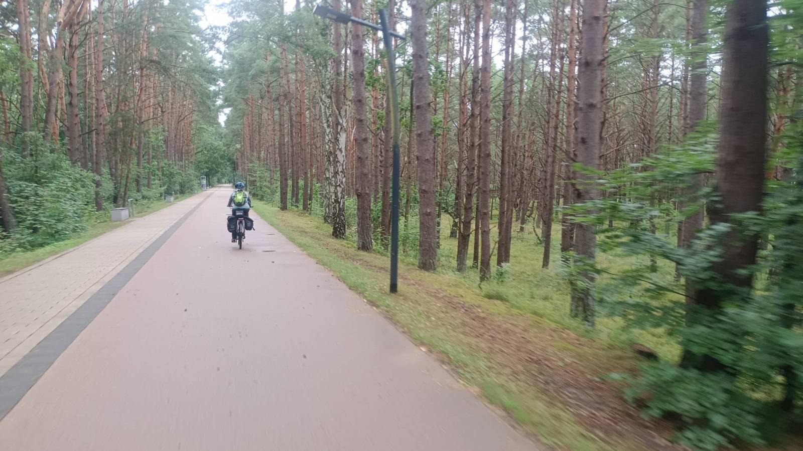 Zdjęcie 6