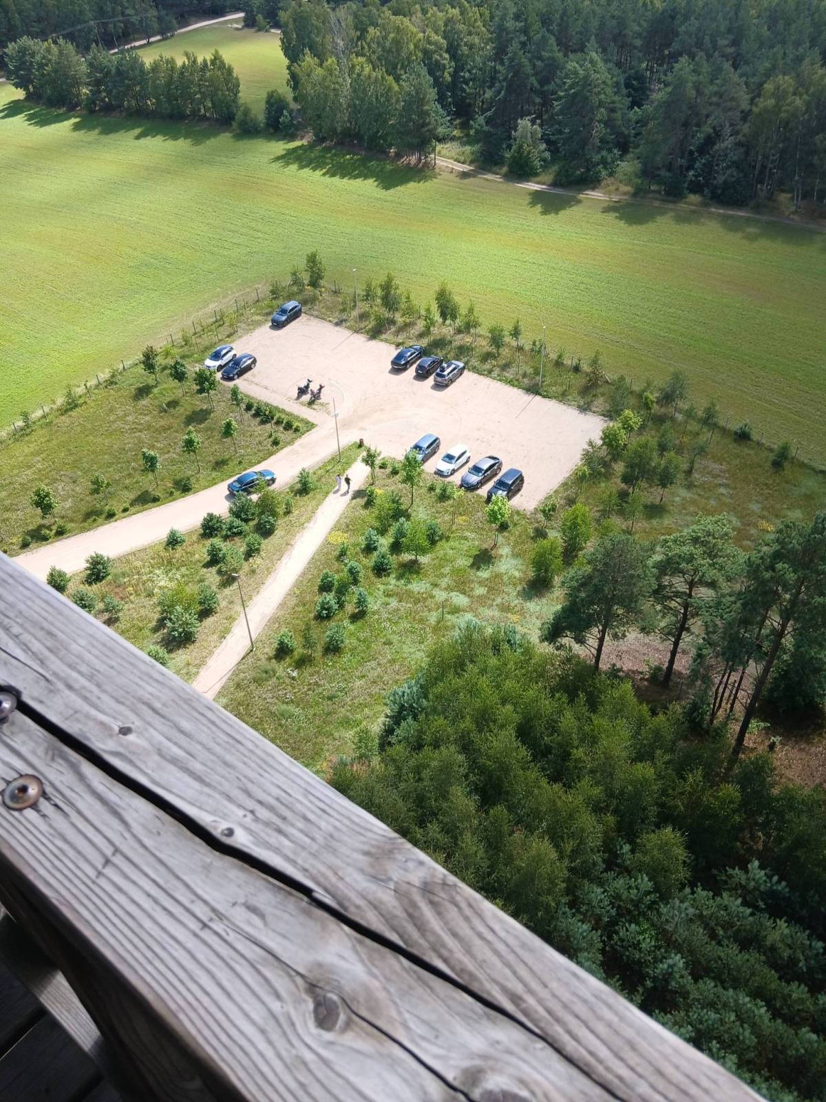 Zdjęcie 1