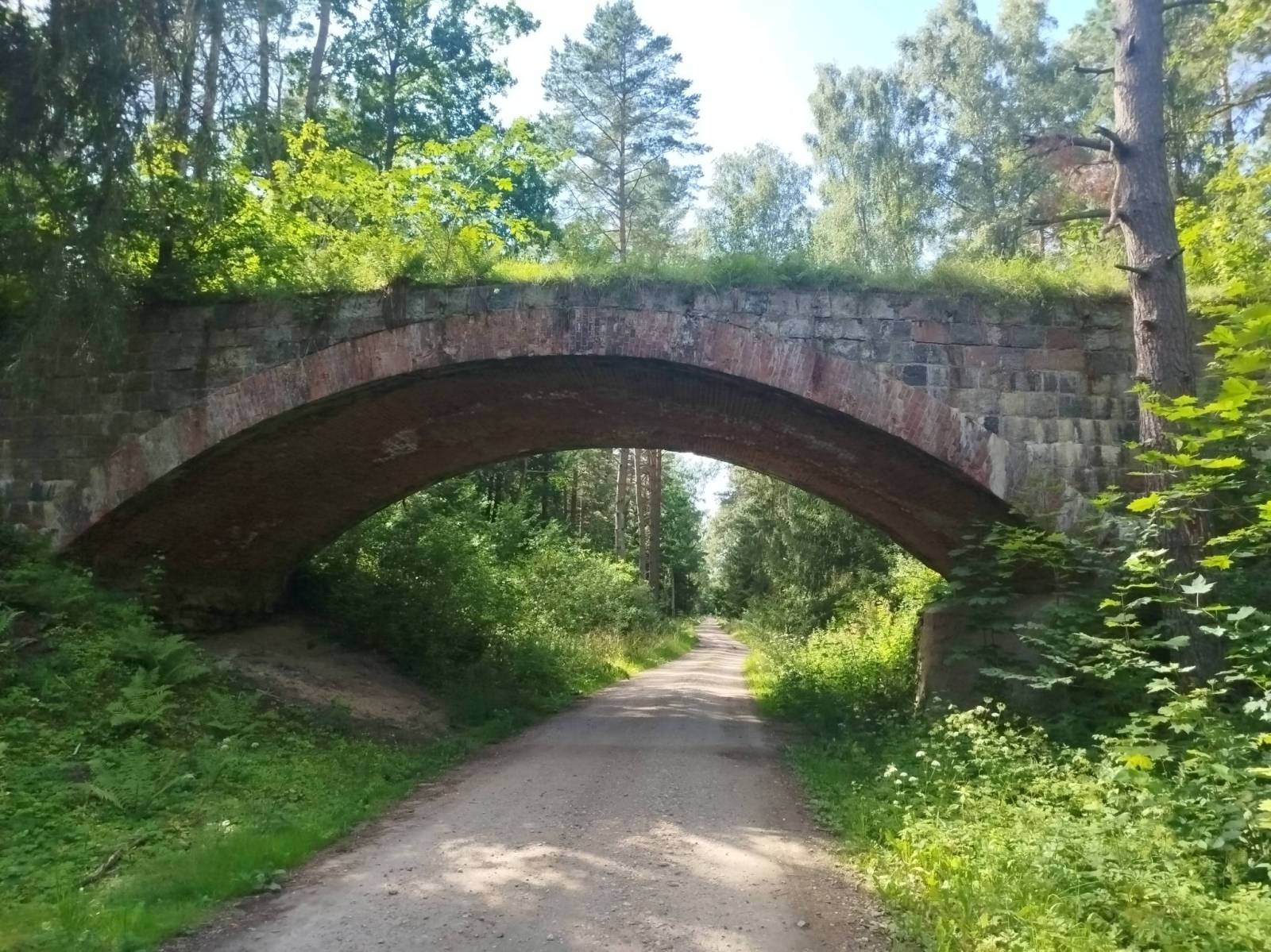 Zdjęcie 6