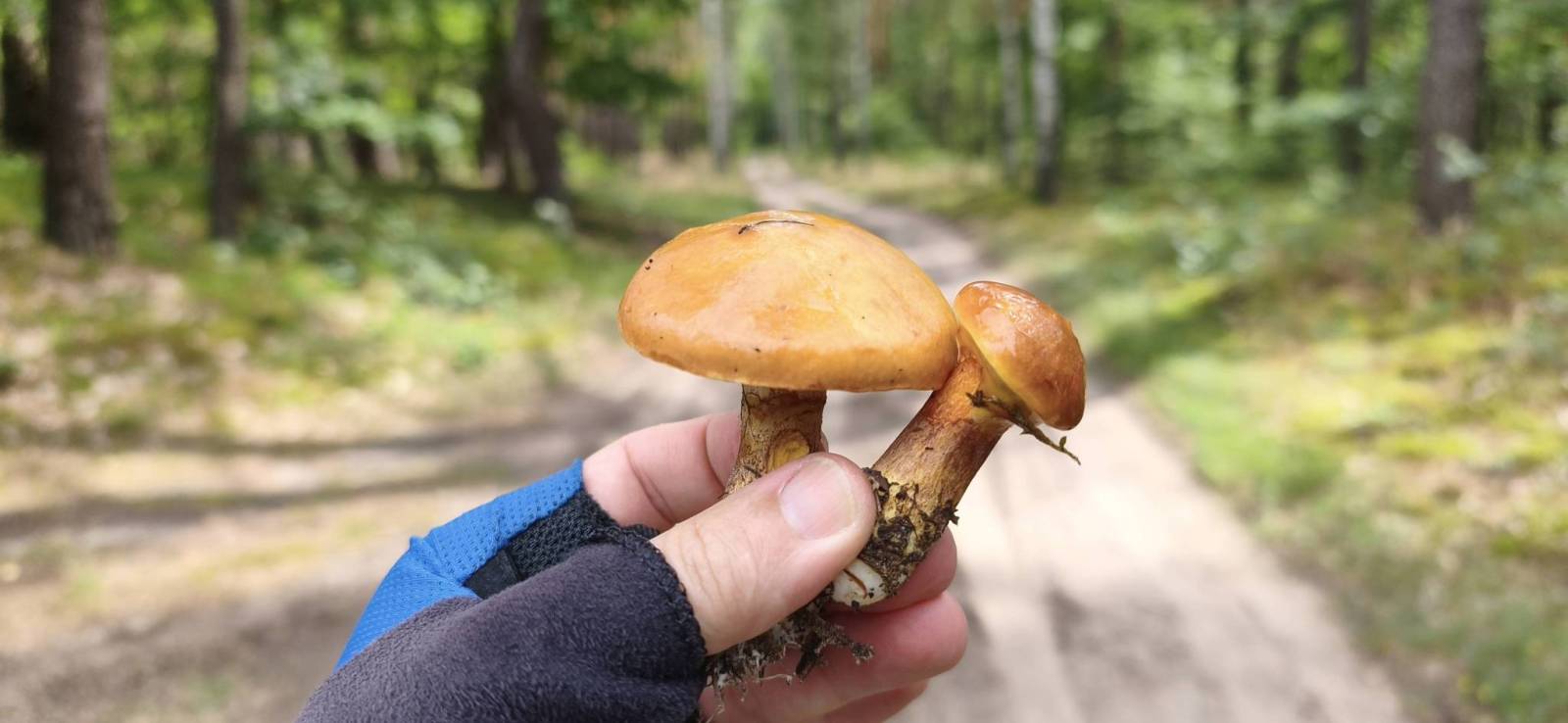 Zdjęcie 6