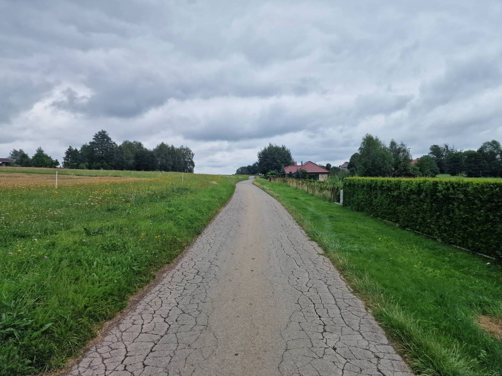 Zdjęcie 4