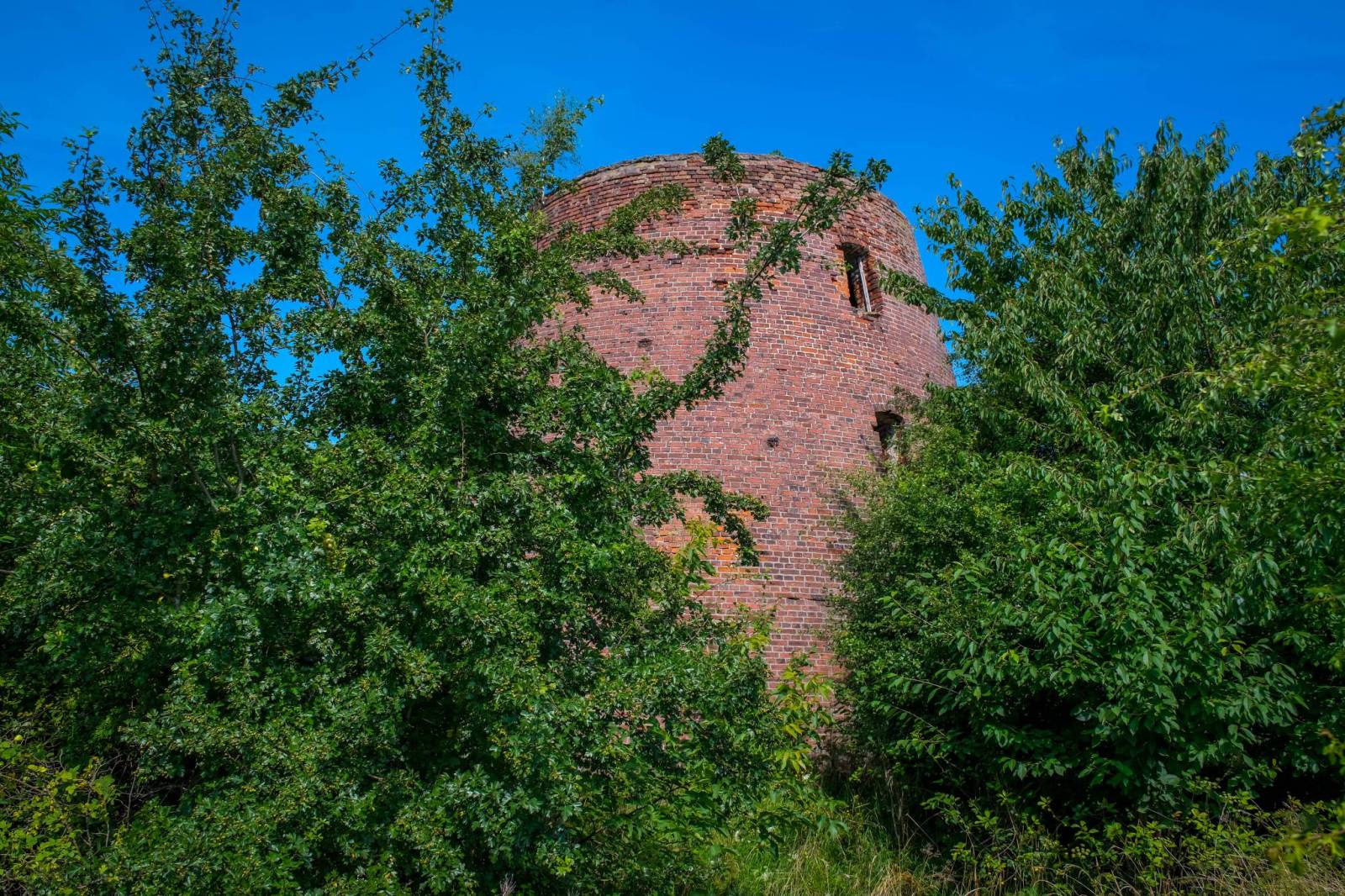 Zdjęcie 6