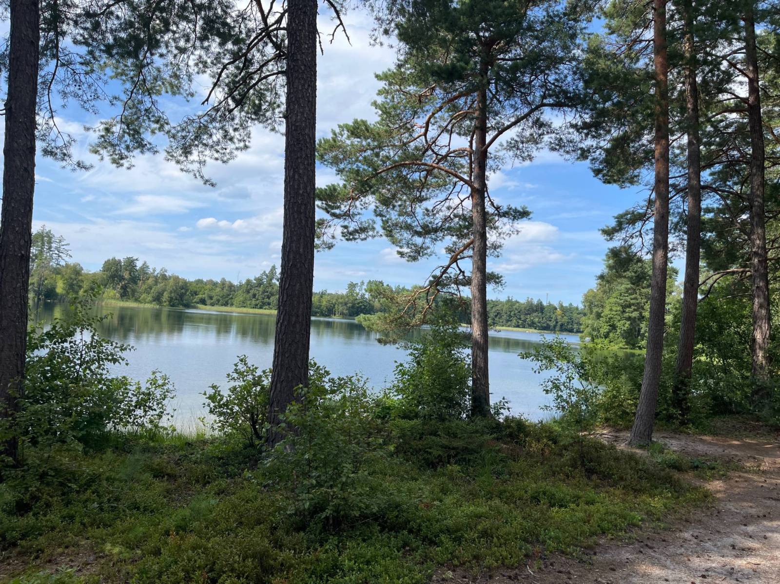 Zdjęcie 1