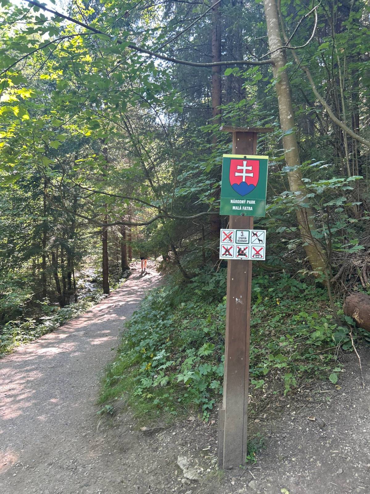 Zdjęcie 1