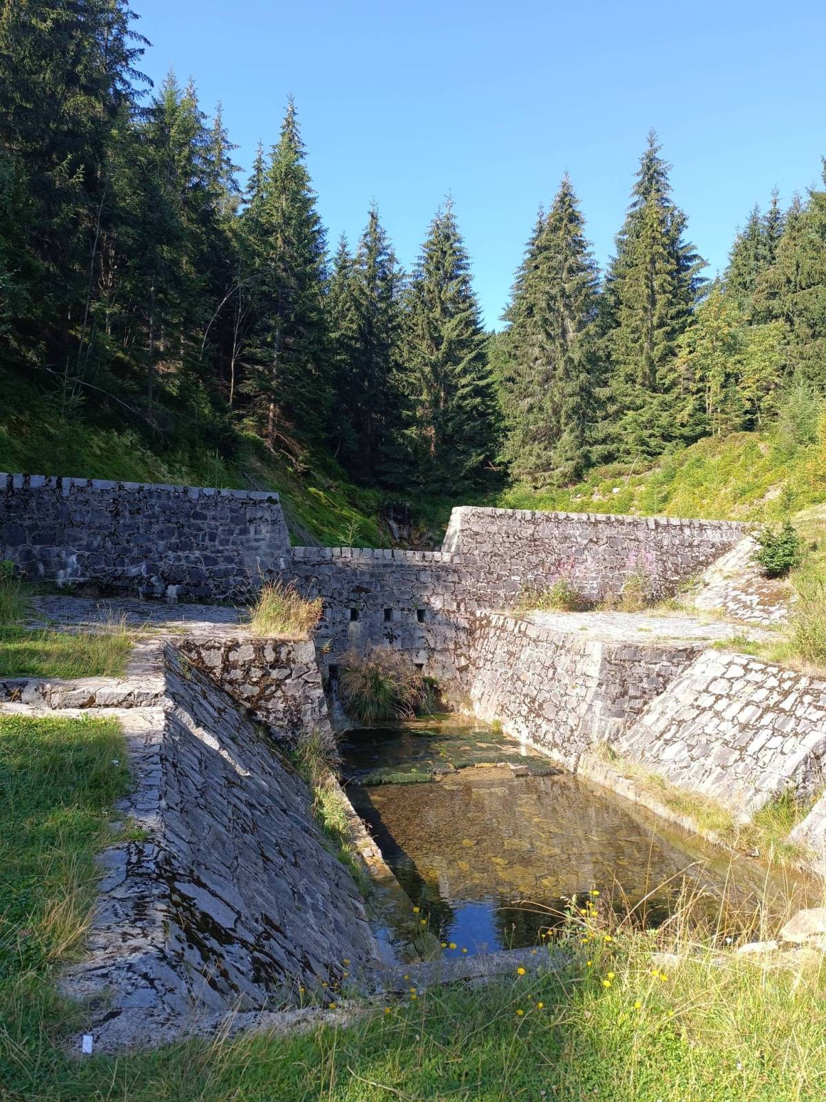 Zdjęcie 3