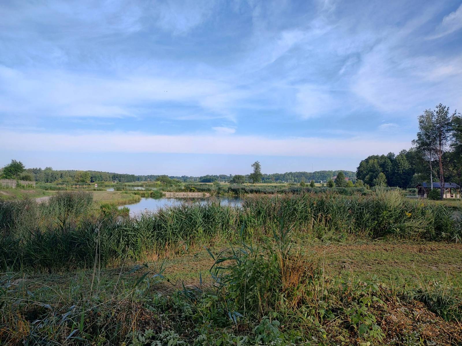 Zdjęcie 6