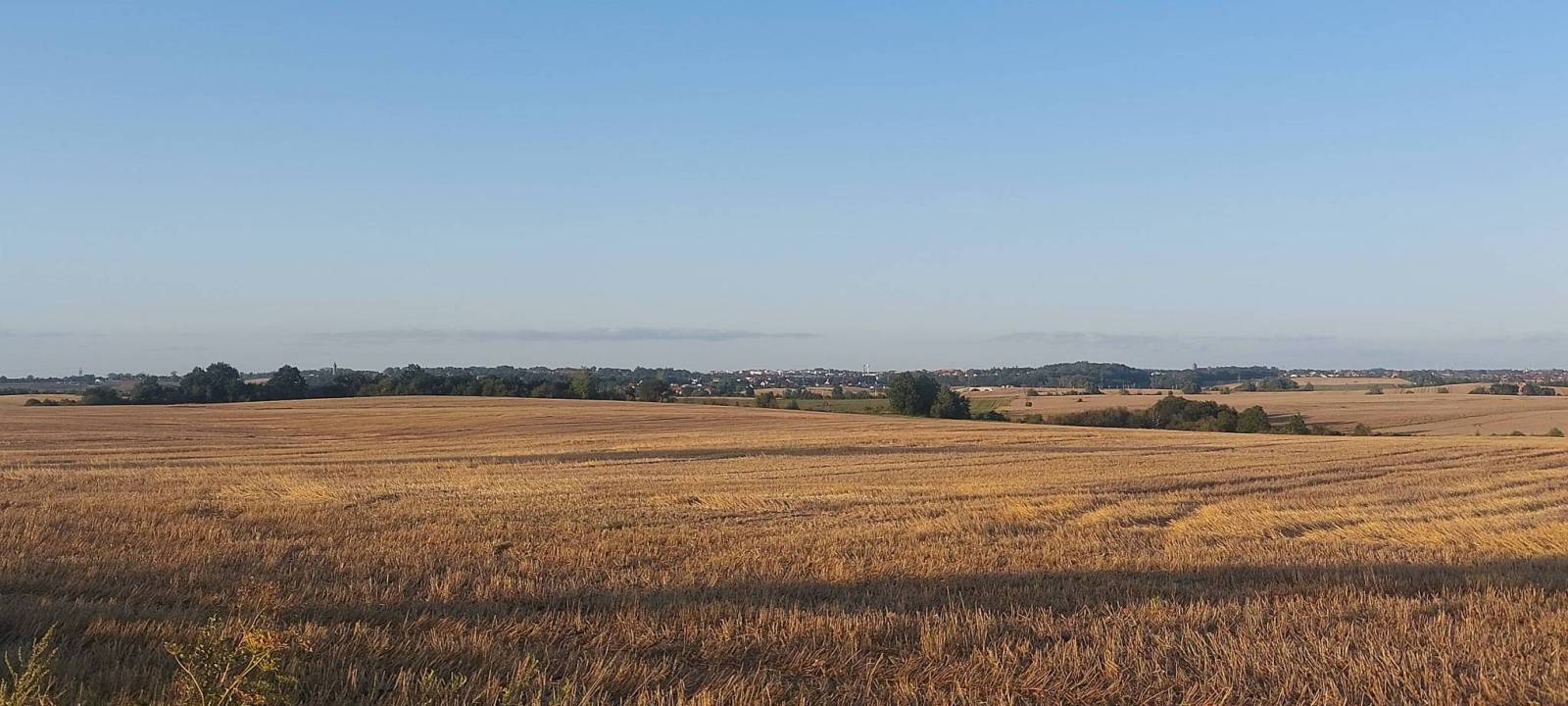 Zdjęcie 1