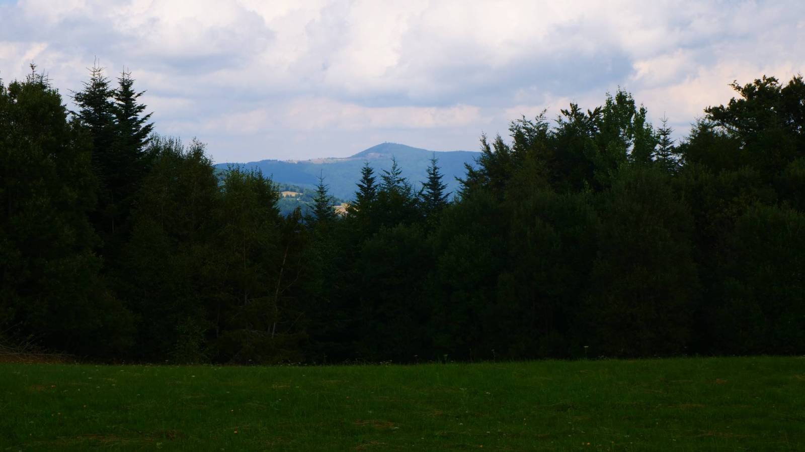 Zdjęcie 6