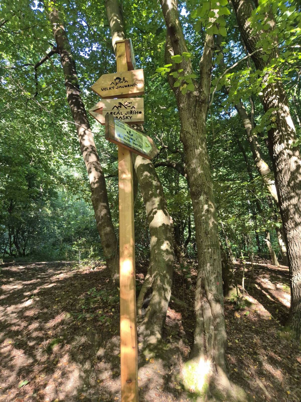 Zdjęcie 2