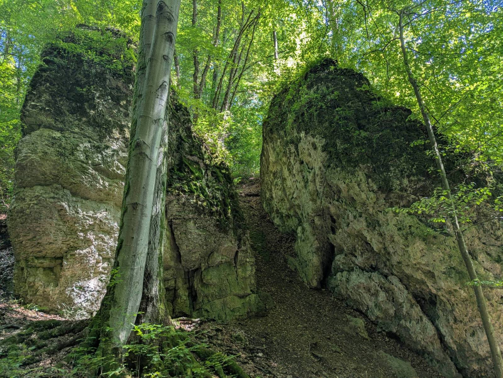 Zdjęcie 5