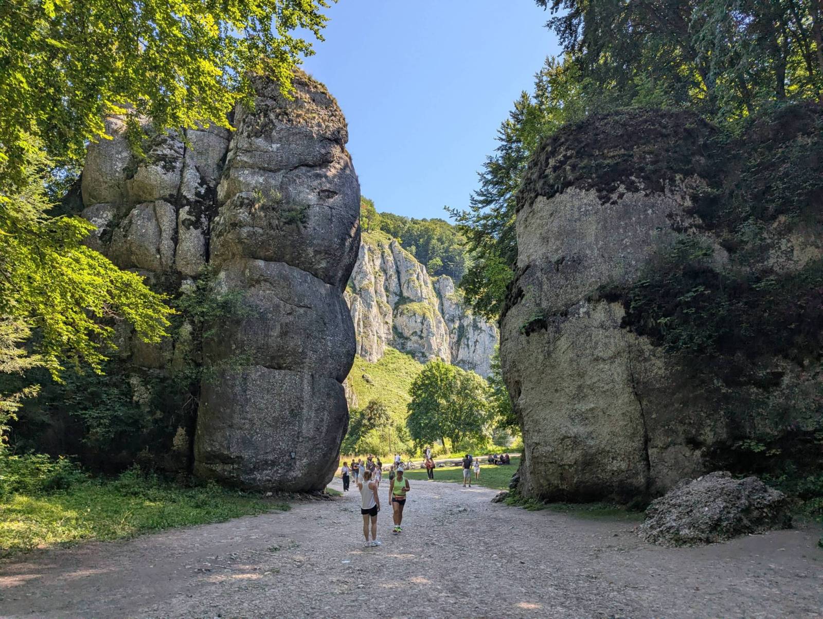 Zdjęcie 6