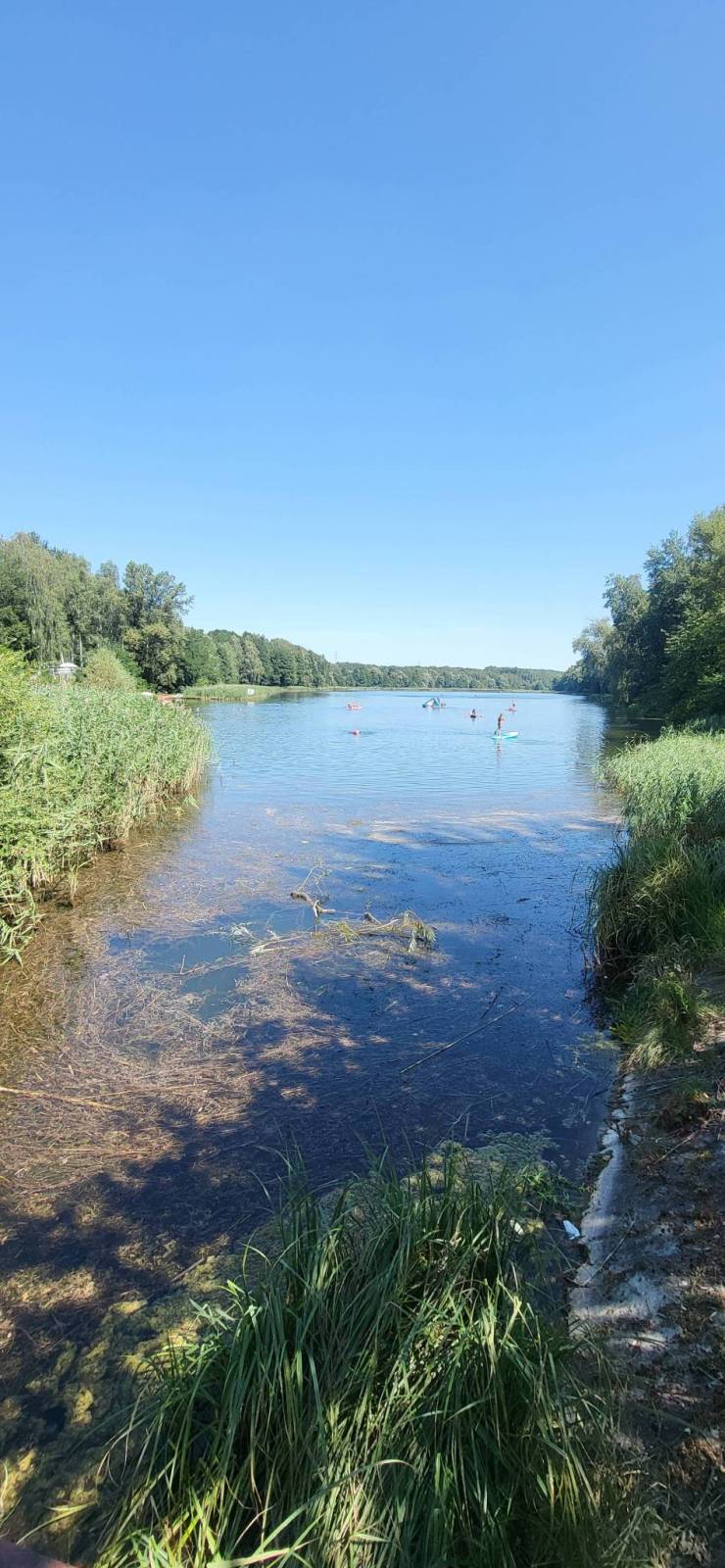 Zdjęcie 4