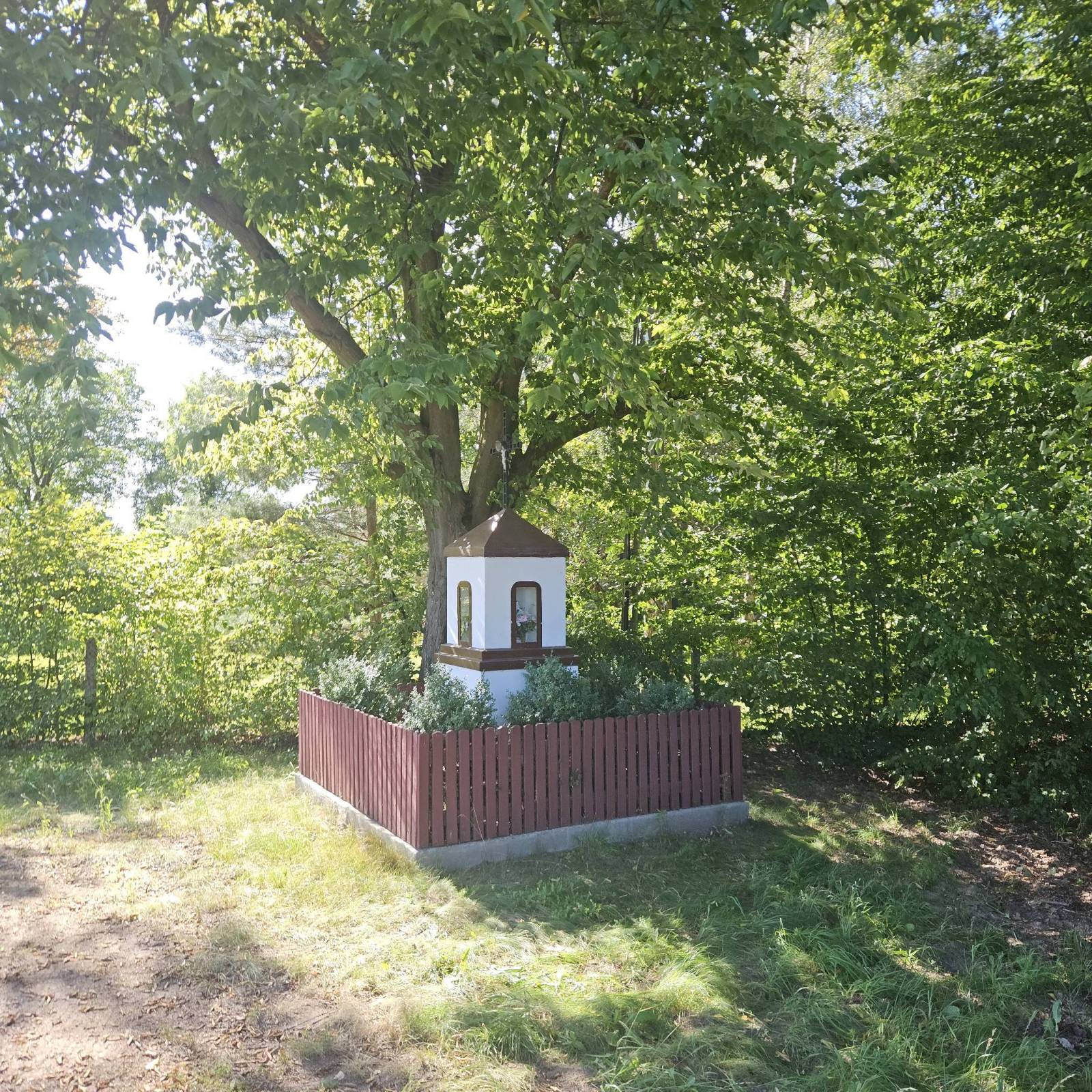 Zdjęcie 2