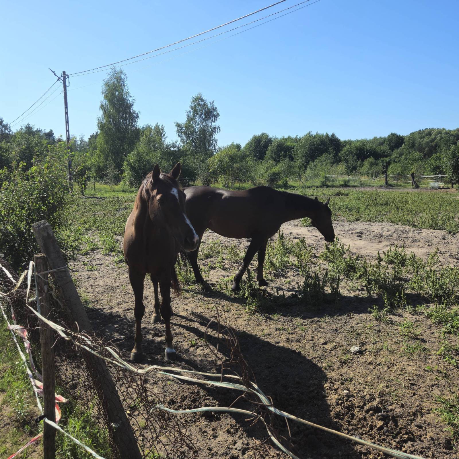 Zdjęcie 6