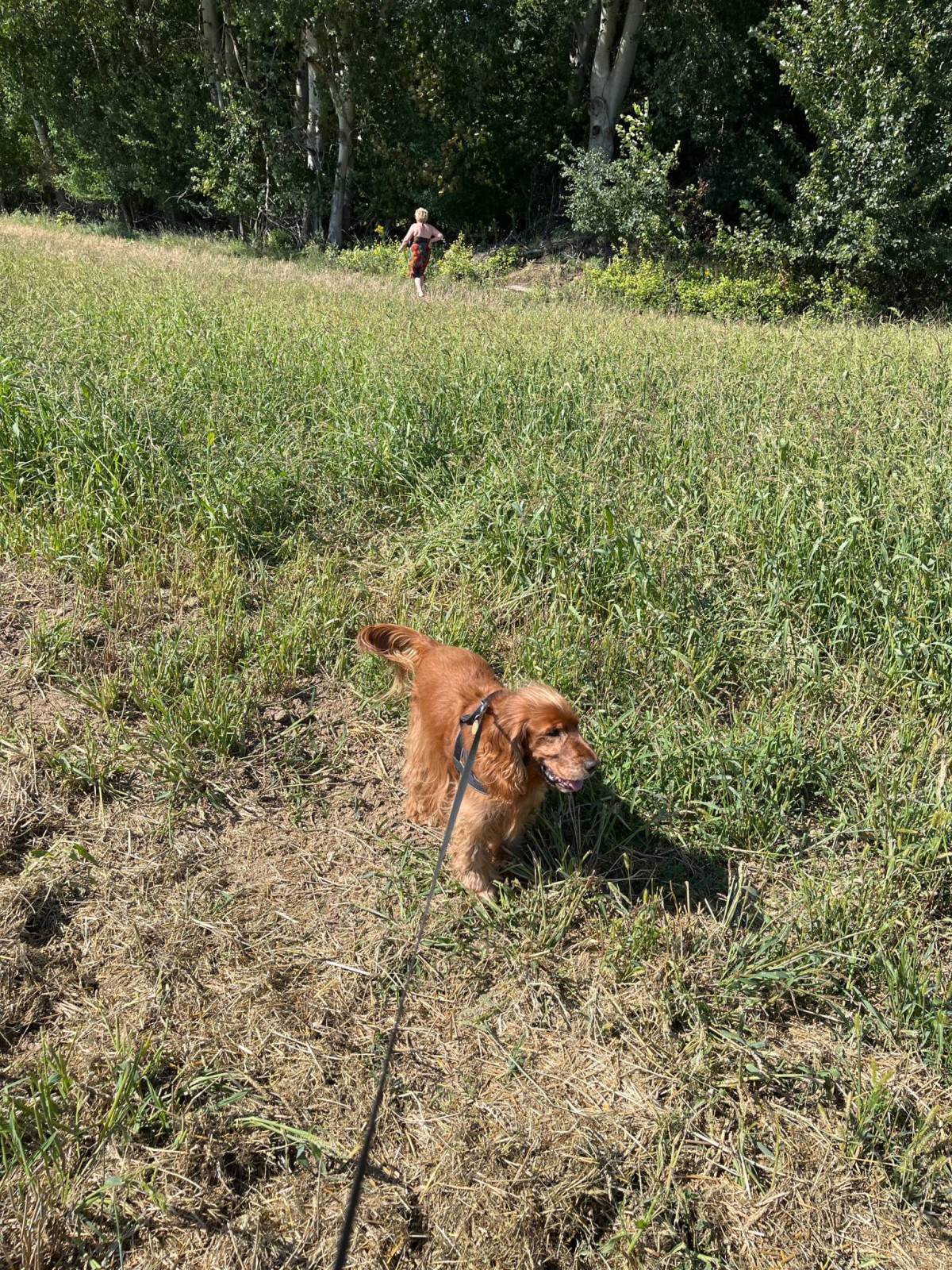 Zdjęcie 2