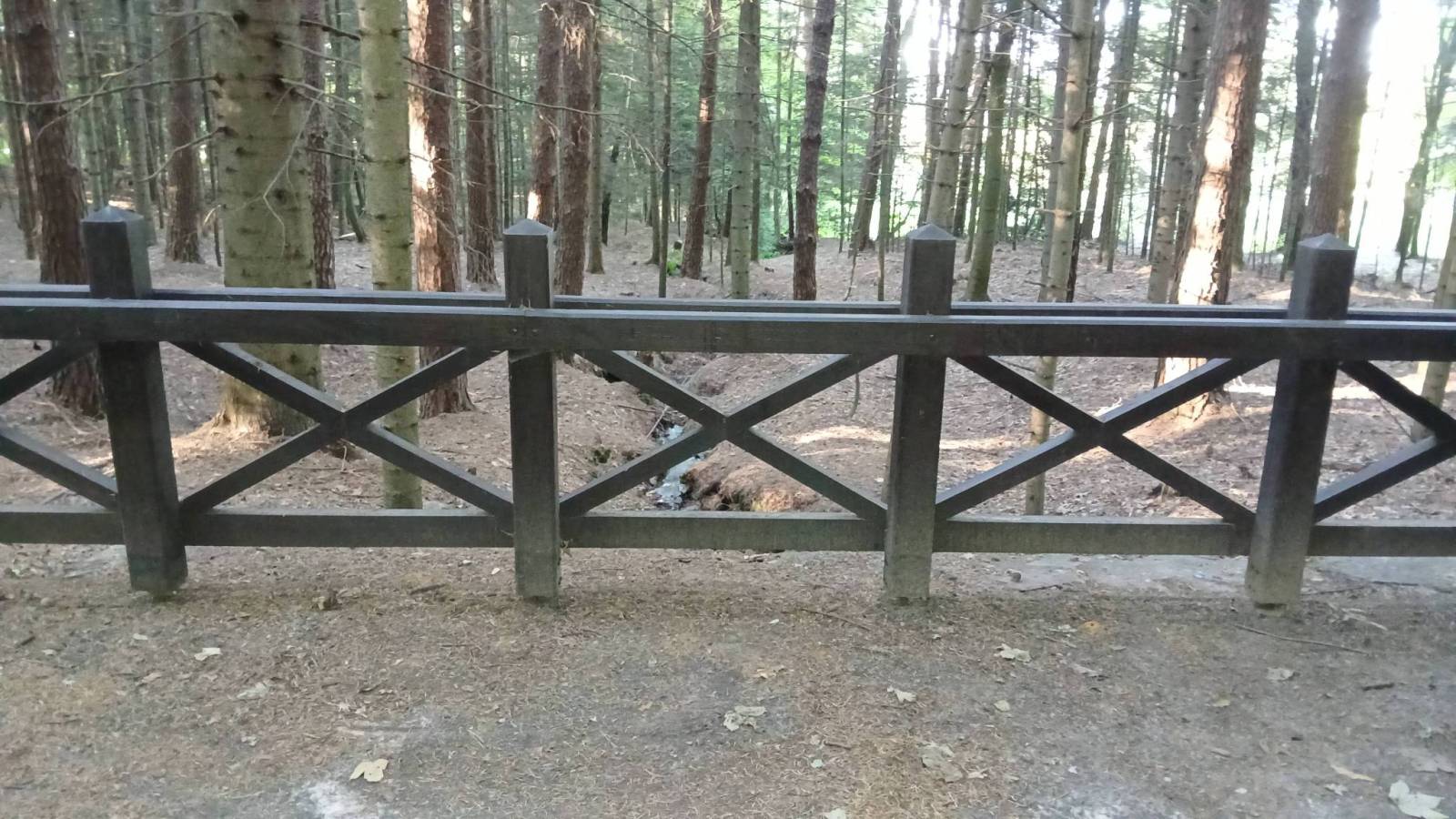 Zdjęcie 2