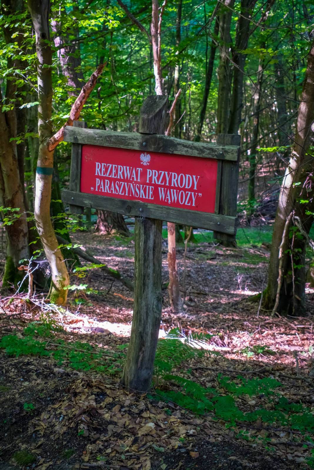 Zdjęcie 3