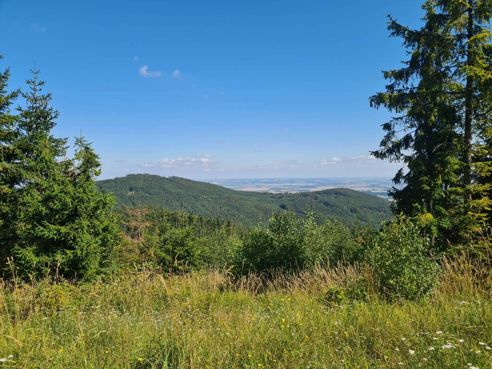Zdjęcie 6