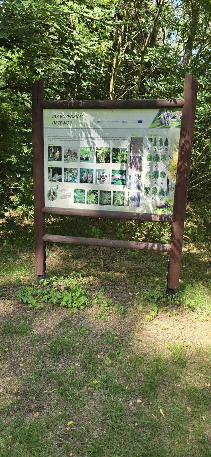 Zdjęcie 1