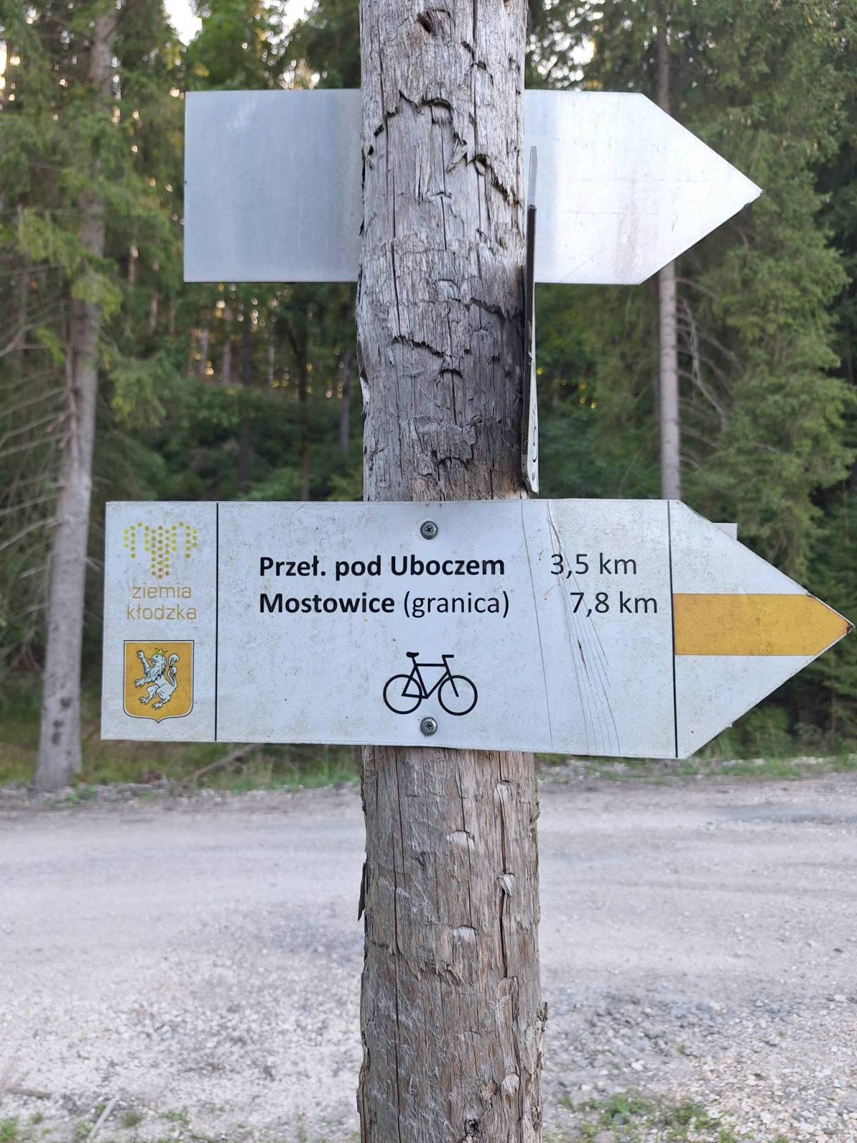 Zdjęcie 6