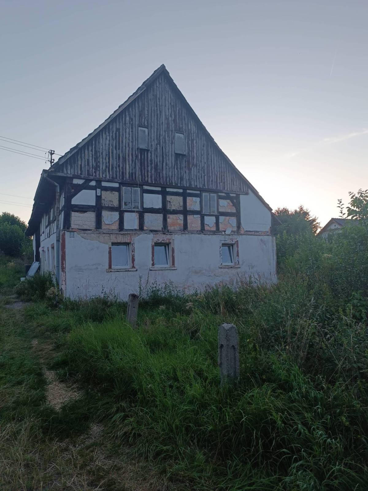 Zdjęcie 6