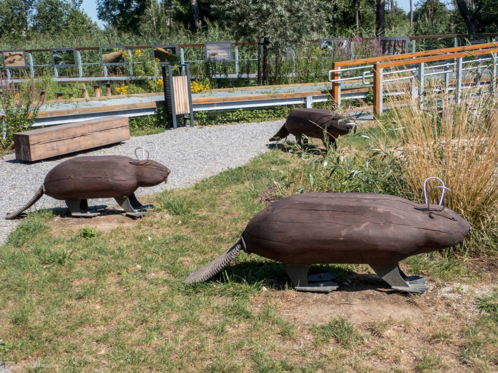Zdjęcie 6