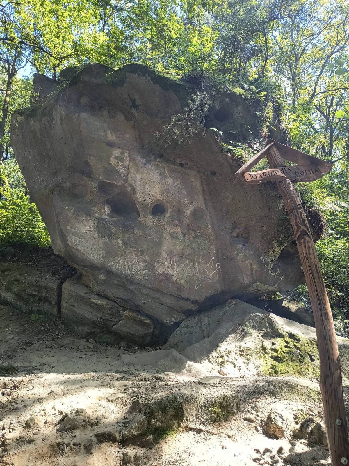 Zdjęcie 1