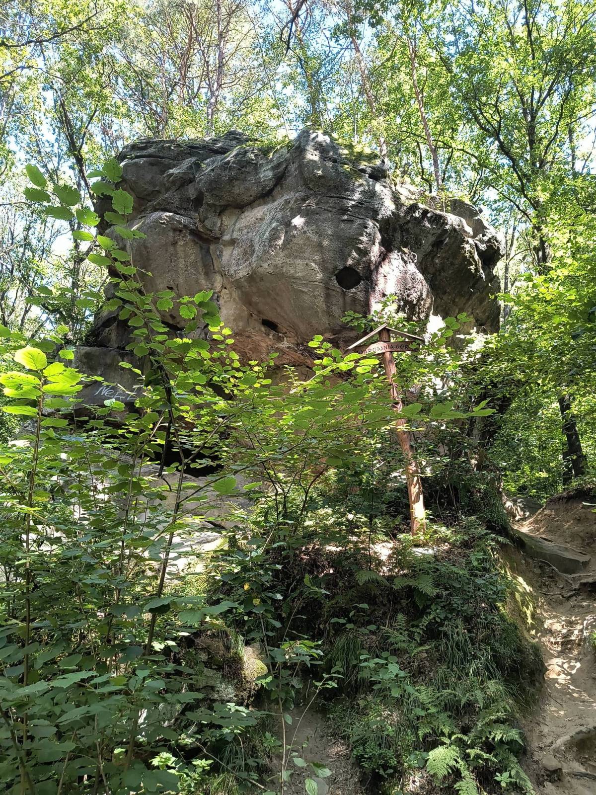 Zdjęcie 2