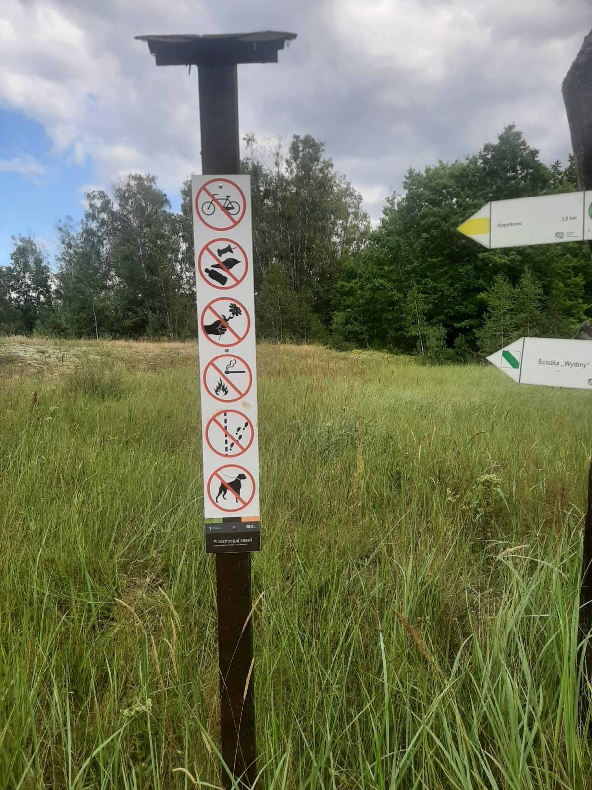 Zdjęcie 3