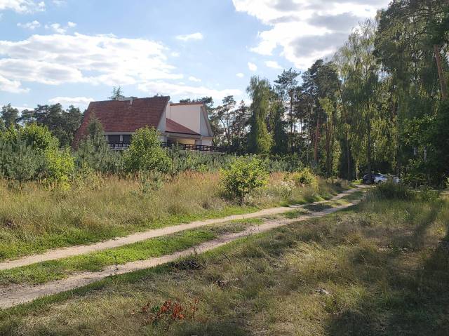 thumb-image