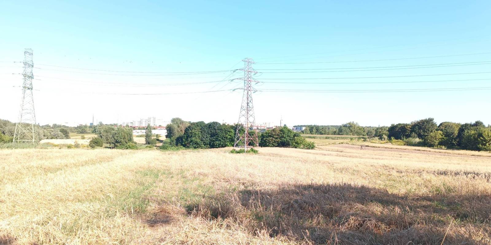Zdjęcie 3