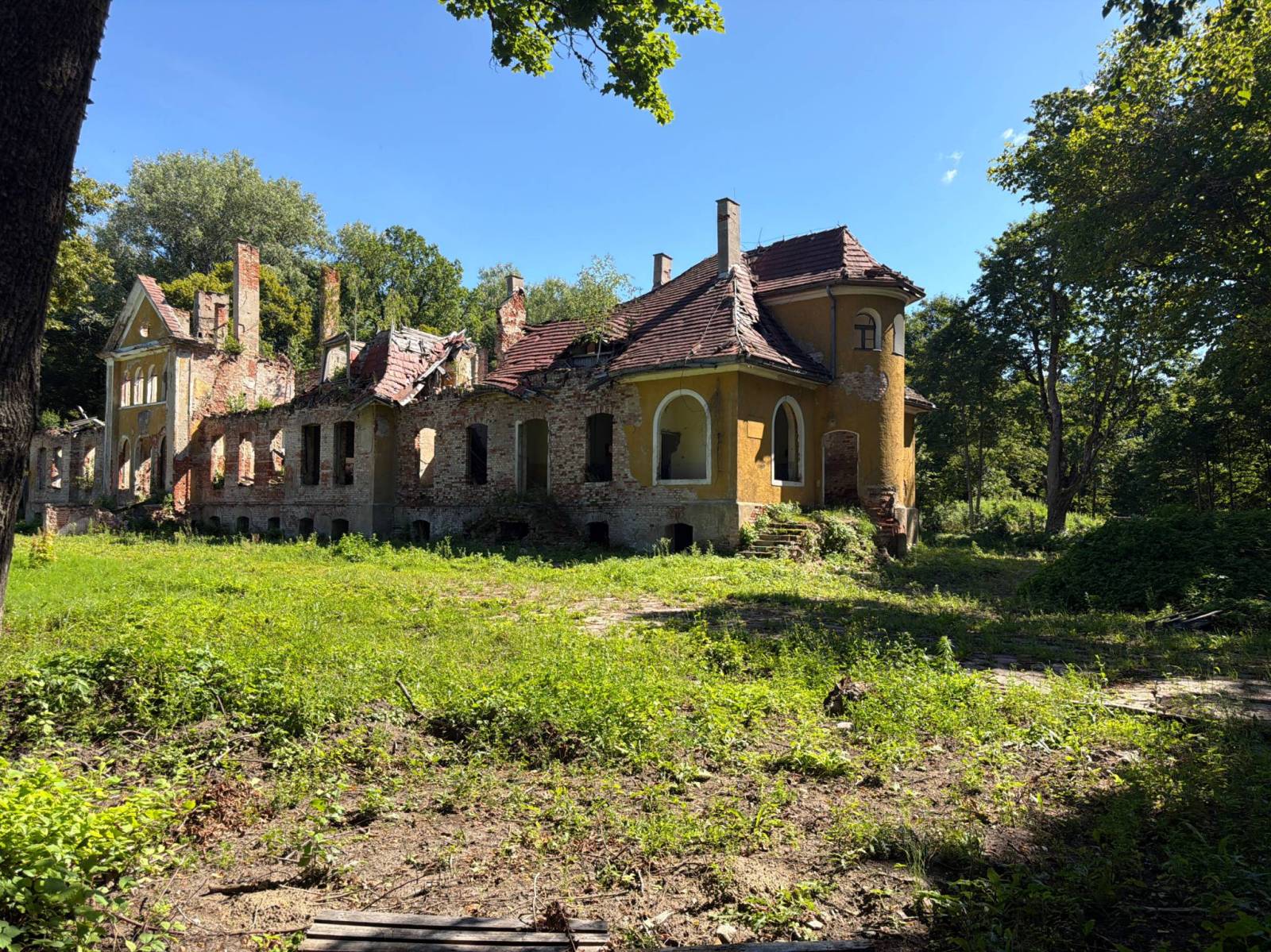 Zdjęcie 5