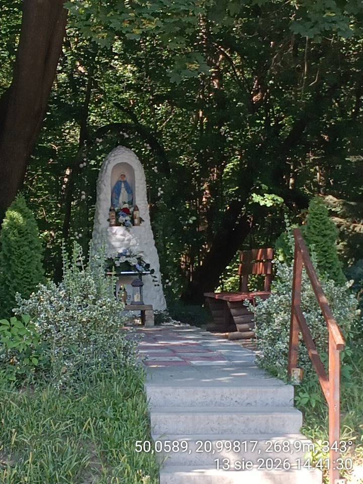 Zdjęcie 4