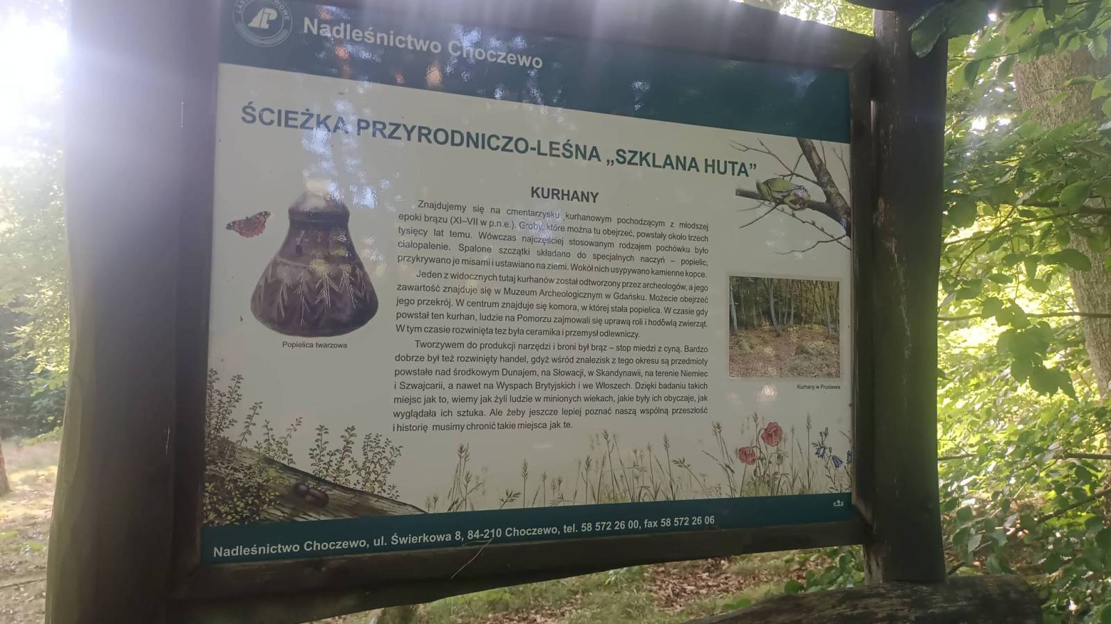 Zdjęcie 2